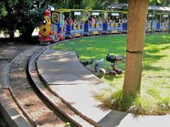 183 D35 PARC OLBIUS RIQUIER A HYERES_000011
